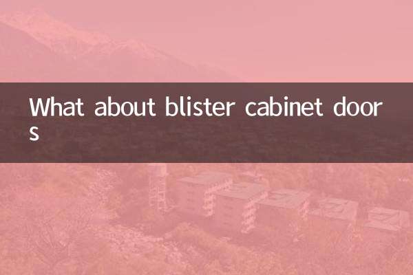 ブリスターキャビネットのドアはどうでしょうか