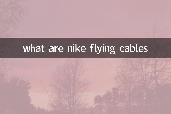 ما هي الكابلات الطائرة نايك