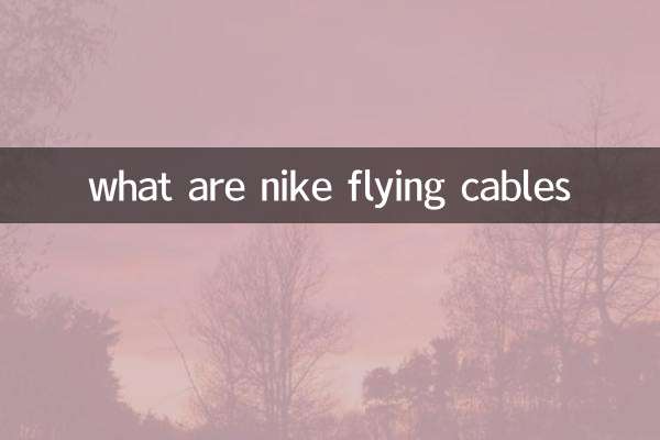 나이키 플라잉 케이블이 뭐죠?