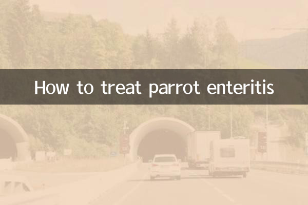 Wie man Papageienenteritis behandelt