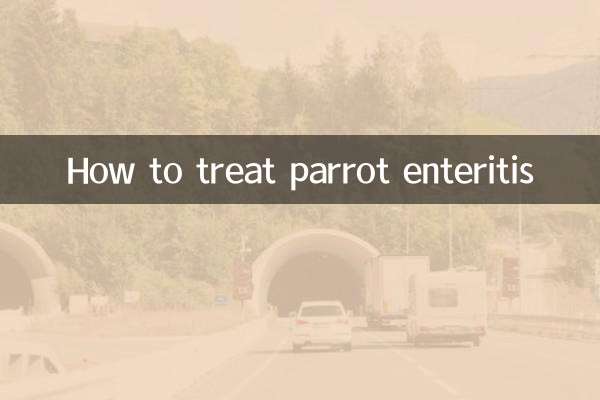 Wie man Papageienenteritis behandelt