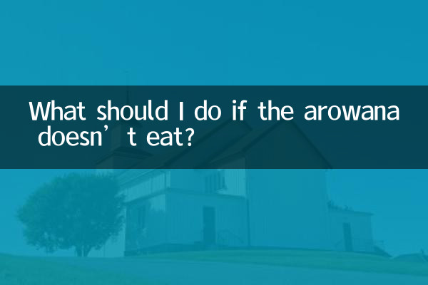 ¿Qué debo hacer si la arowana no come?