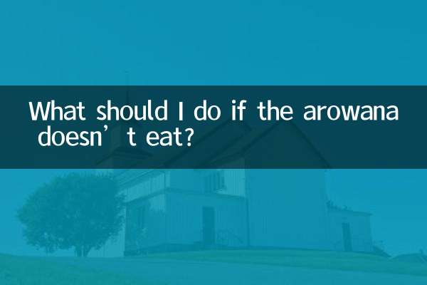 ¿Qué debo hacer si la arowana no come?