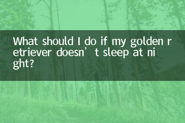 골든 리트리버가 밤에 잠을 못 자면 어떻게 해야 하나요?