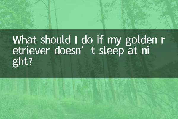 اگر گلدن رتریور من شب ها نخوابد چه باید بکنم؟