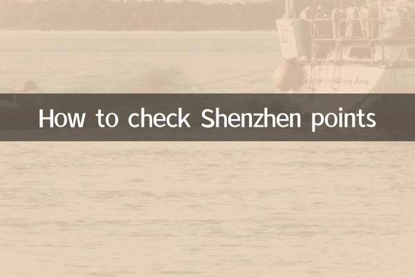 শেনজেন পয়েন্টগুলি কীভাবে পরীক্ষা করবেন