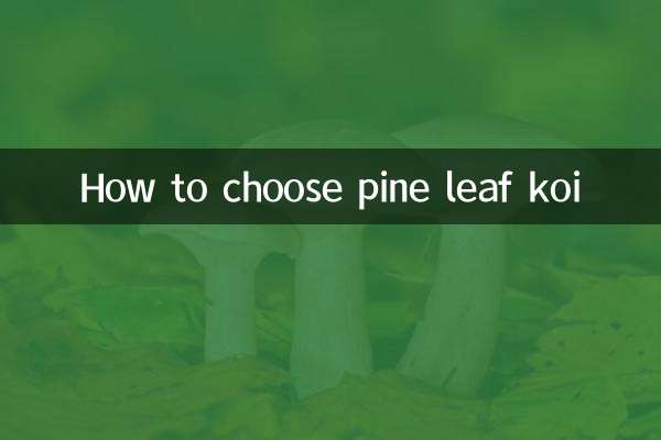 Cómo elegir koi de hoja de pino
