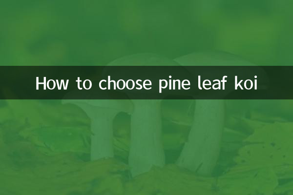 Como escolher o koi de folha de pinheiro