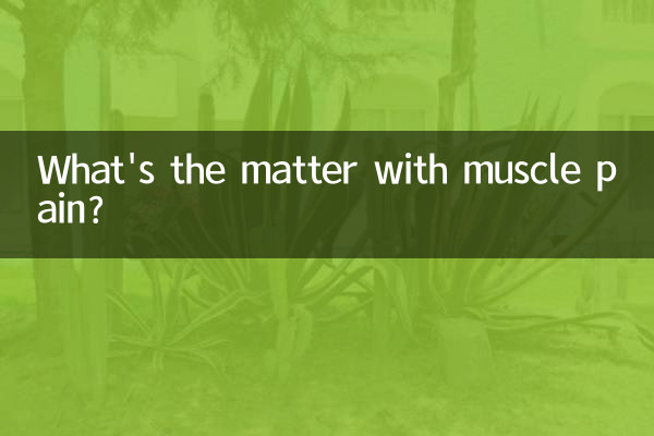 Qual è il problema con il dolore muscolare?