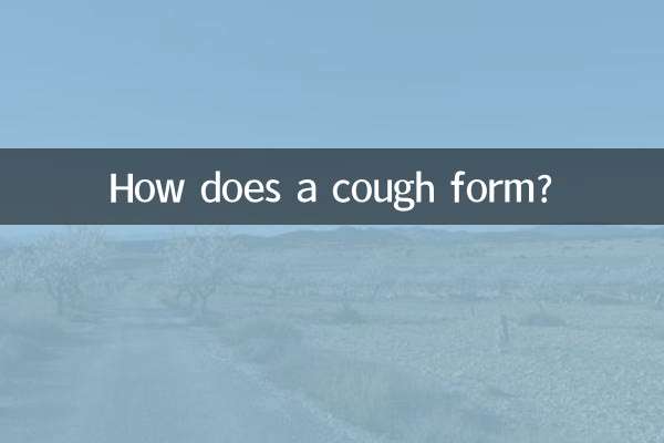 咳嗽是怎么形成的