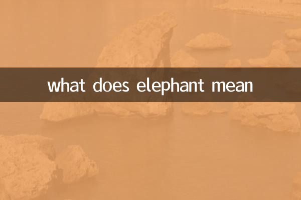 ہاتھی کا کیا مطلب ہے؟