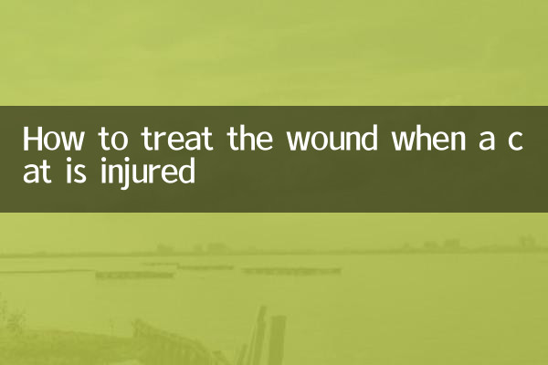 How to treat the wound when a cat is injured
