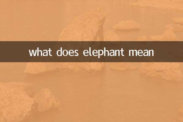 ماذا يعني الفيل