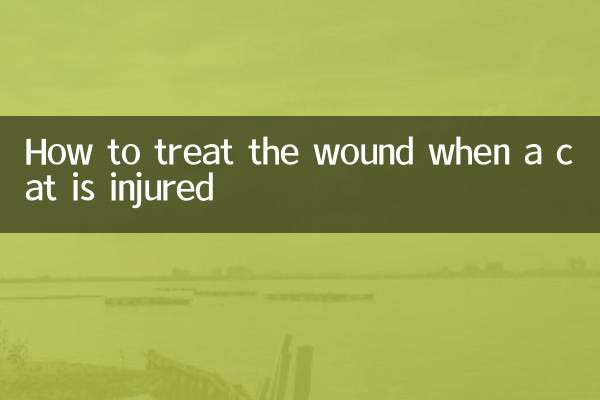 How to treat the wound when a cat is injured