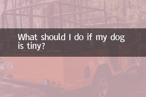 What should I do if my dog is tiny?