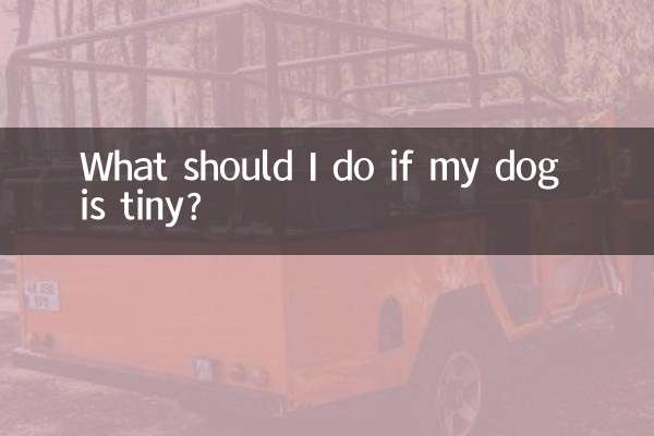 What should I do if my dog is tiny?