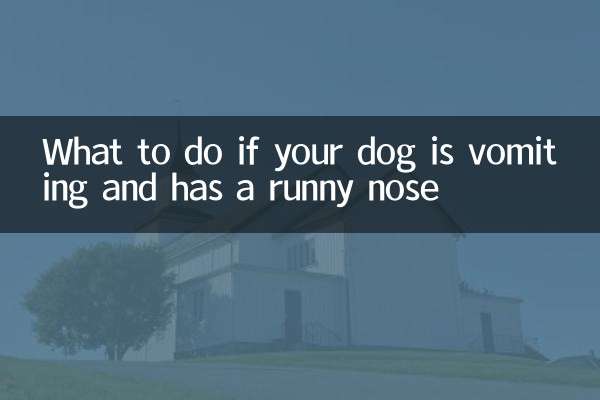 O que fazer se seu cachorro estiver vomitando e com o nariz escorrendo