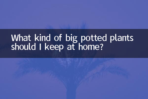 家里养什么大盆栽