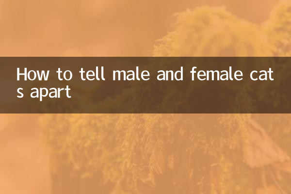 چگونه گربه های نر و ماده را از هم تشخیص دهیم