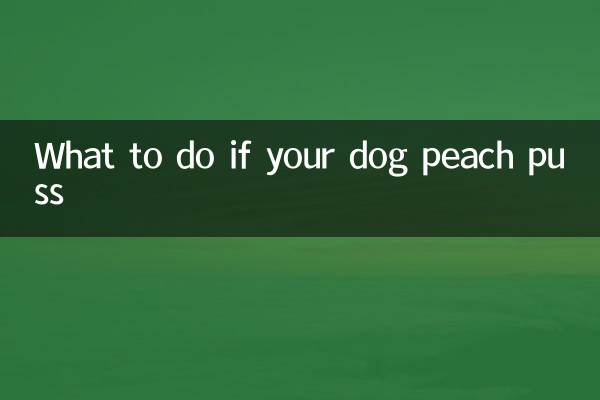 狗狗桃子流脓怎么办