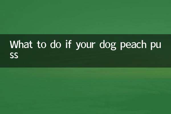 यदि आपका कुत्ता आड़ू खरहा कर दे तो क्या करें