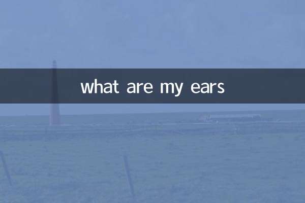 quelles sont mes oreilles