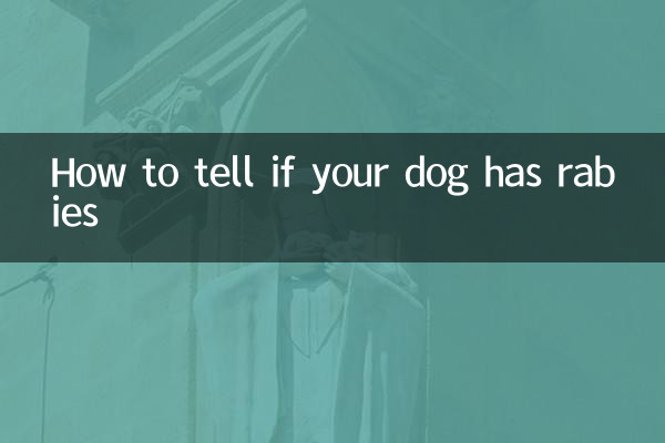 How to tell if your dog has rabies