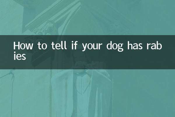 How to tell if your dog has rabies