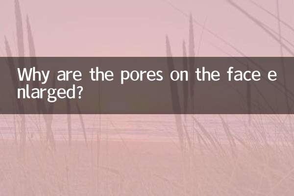 얼굴의 모공이 넓어지는 이유는 무엇입니까?