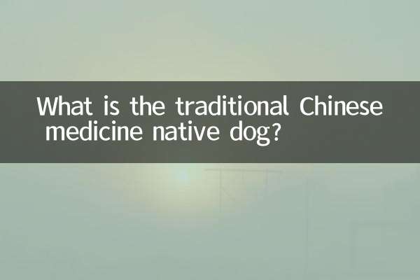 한의학 토종견이란?