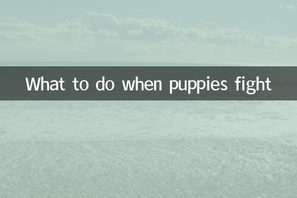 Cosa fare quando i cuccioli litigano