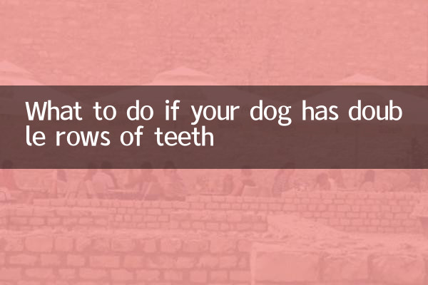 O que fazer se o seu cão tiver fileiras duplas de dentes