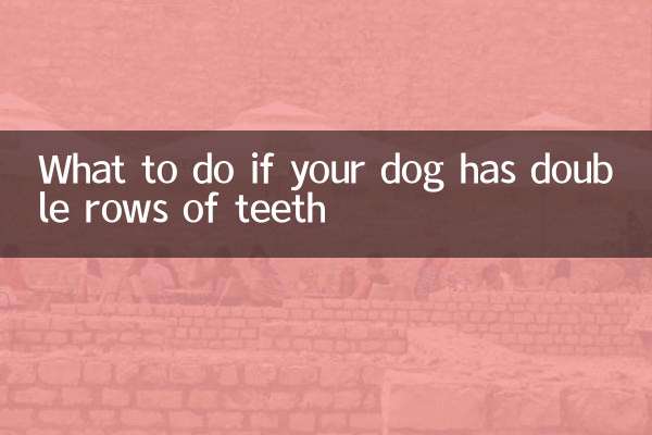 Что делать, если у вашей собаки двойной ряд зубов