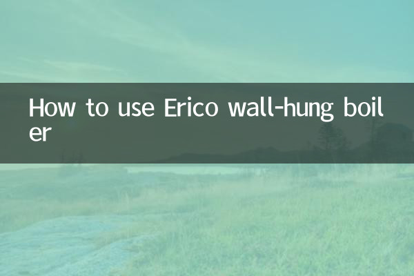 How to use Erico wall-hung boiler