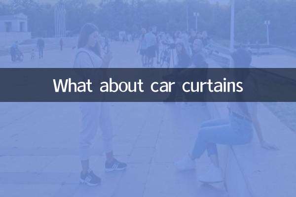 What about car curtains