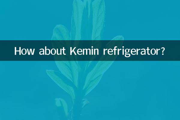 Wie wäre es mit einem Kemin-Kühlschrank?