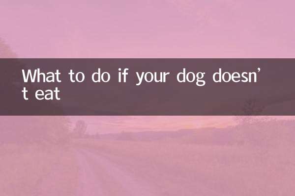 আপনার কুকুর না খেয়ে থাকলে কি করবেন