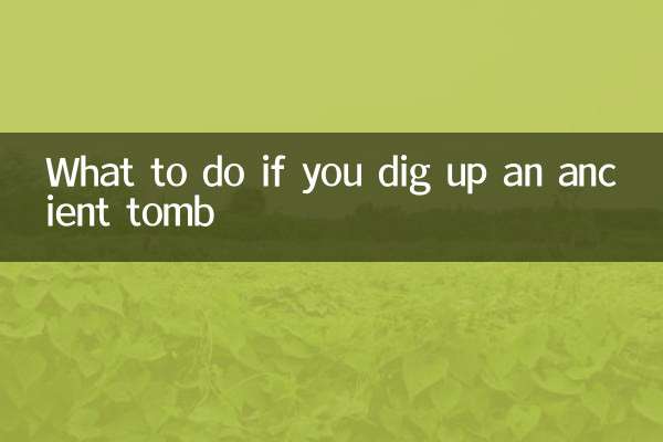 挖到古墓怎么处理