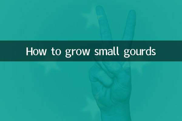 Como cultivar pequenas cabaças