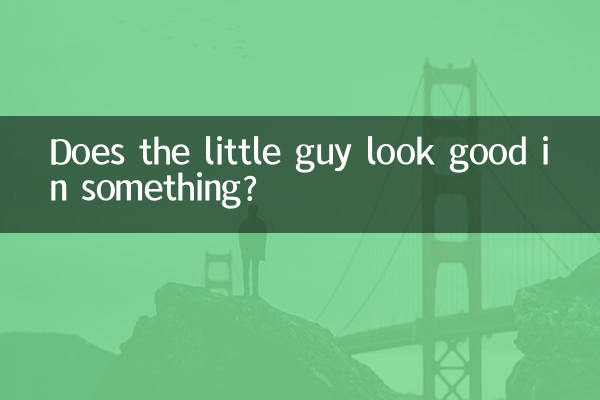 Does the little guy look good in something?