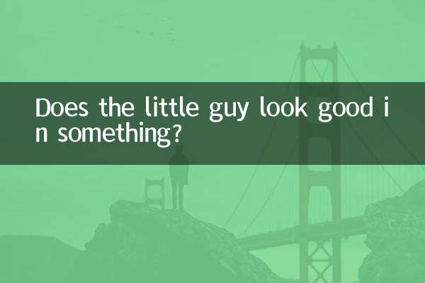 Does the little guy look good in something?