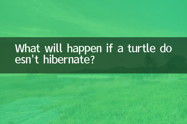 Что будет, если черепаха не впадет в спячку?