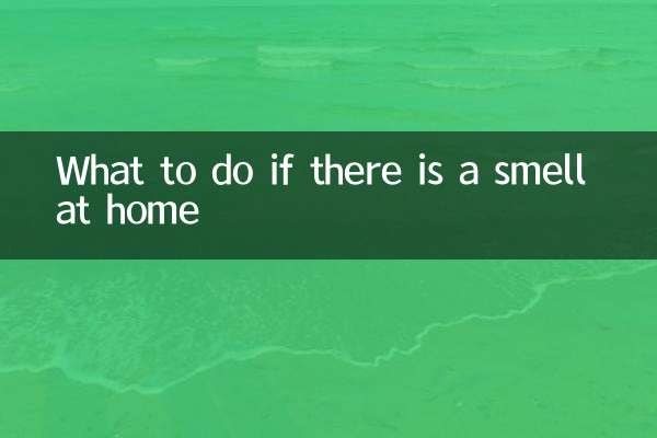 اگر در خانه بو بود چه باید کرد؟