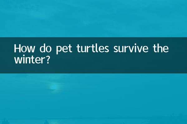 Comment les tortues de compagnie survivent-elles à l’hiver ?