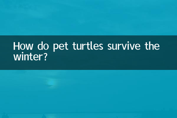 Comment les tortues de compagnie survivent-elles à l’hiver ?