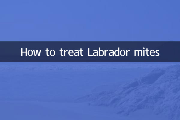 Cómo tratar los ácaros del labrador