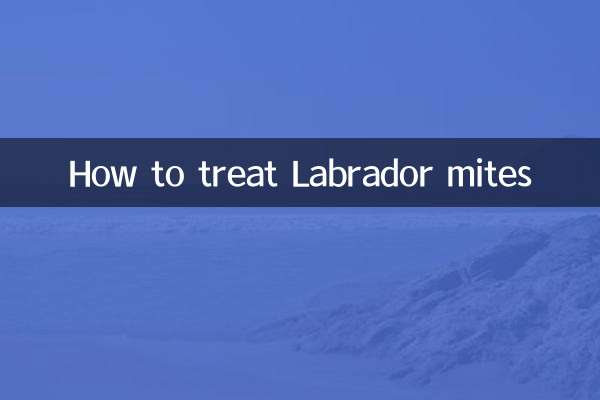 Cómo tratar los ácaros del labrador