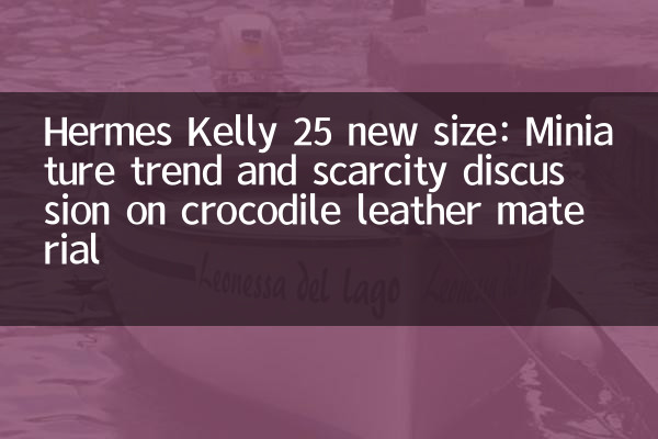 爱马仕 Kelly 25 全新尺寸：迷你化趋势与鳄鱼皮材质稀缺性讨论