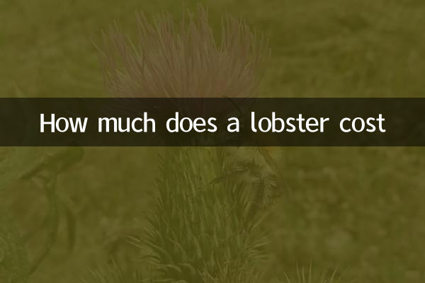 Combien coûte un homard