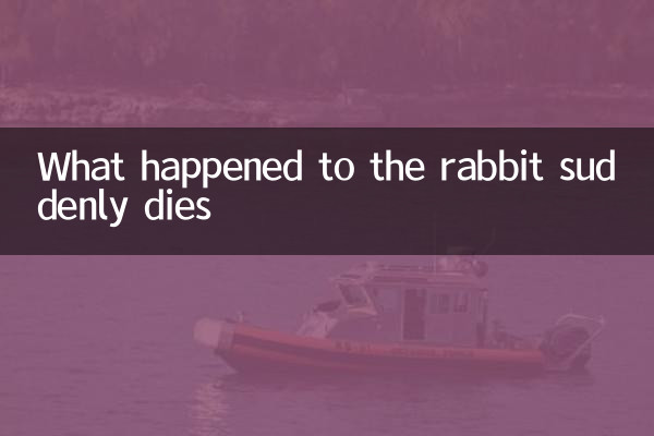 Ce qui est arrivé au lapin meurt soudainement